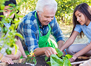 People gardening together in a raised garden bed, representing gardening activities and community engagement like at Milaca Elim Meadows